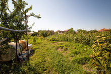 Load image into Gallery viewer, Casa Nadlac (Central)